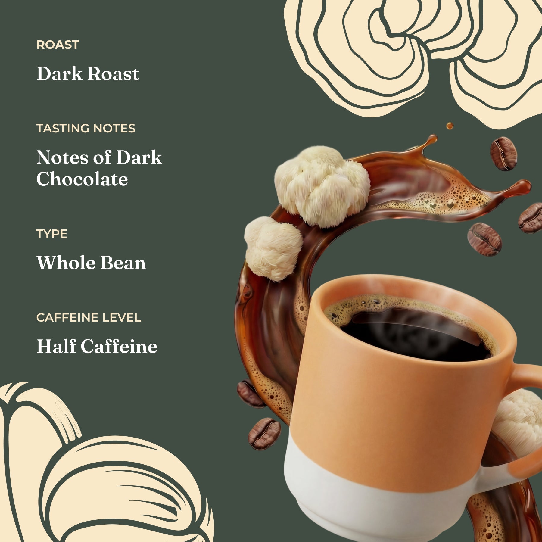 focus-half-caf-whole-bean-coffee-r3 Taste_-_Focus_Half_Caf_Whole_Bean_d1d02c35-db99-498e-ac43-813730db6953.jpg