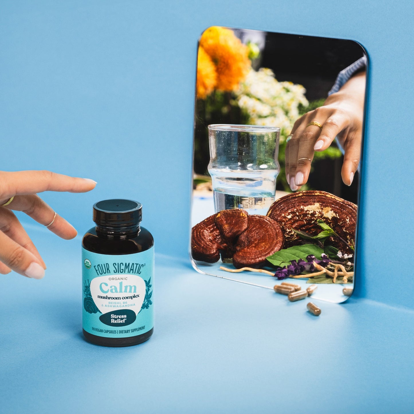 calm-capsules-a2 calm-capsule-1.jpg